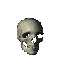 skull of death!