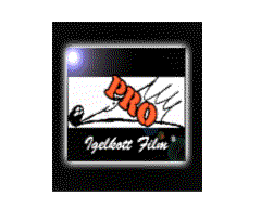 Igelkottfilm