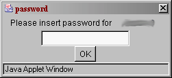 figur 1, bild av passwordfönstret