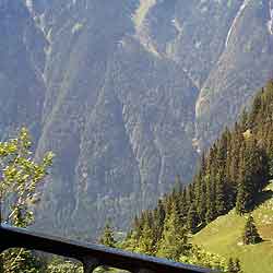 View from the window of the Schynige Platte-train