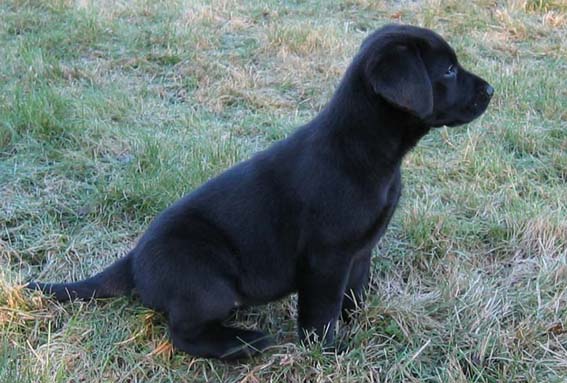 Bild p Mio som liten