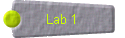Lab 1