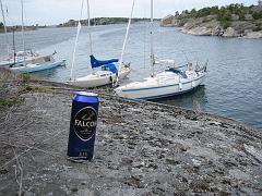IMG_0942_Falcon_goer_intaag_paa_Stora_Nassa