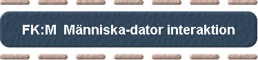  FK:M  M�nniska-dator interaktion 
