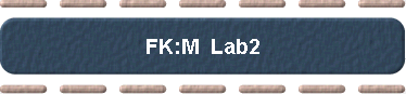  FK:M  Lab2 