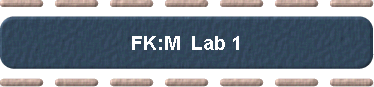  FK:M  Lab 1 