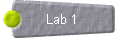  Lab 1 