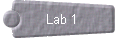  Lab 1 