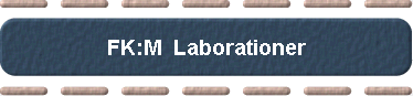  FK:M  Laborationer 