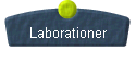  Laborationer 