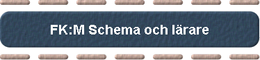  FK:M Schema och l�rare 